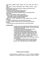 Prakses atskaite 'Maģistra prakse', 15.