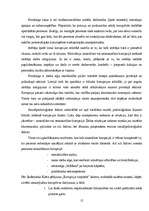 Diplomdarbs 'Korupcijas jēdziens un būtība', 12.