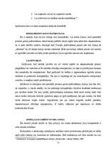 Diplomdarbs 'Korupcijas jēdziens un būtība', 13.