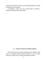 Diplomdarbs 'Korupcijas jēdziens un būtība', 40.