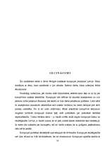 Diplomdarbs 'Korupcijas jēdziens un būtība', 56.