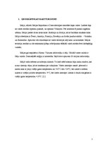 Referāts 'Itāļu tautas nacionālās virtuves izpēte', 3.