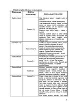 Referāts 'Itāļu tautas nacionālās virtuves izpēte', 6.