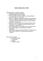 Konspekts 'Trīs sporta rotaļas - stafetes', 3.