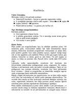 Konspekts 'Bikšainais apogs', 1.