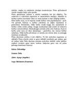 Konspekts 'Bikšainais apogs', 2.