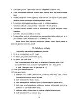 Referāts 'Personāla atlase un tās veidi organizācijā', 28.