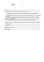 Referāts 'Tiesisko darījumu formas neievērošanas sekas', 17.