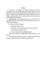 Referāts 'Peļņa un rentabilitāte', 7.