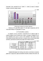Referāts 'Peļņa un rentabilitāte', 21.