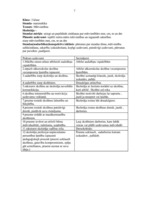 Prakses atskaite 'Vērošanas un vadīšanas prakse', 7.