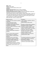 Prakses atskaite 'Vērošanas un vadīšanas prakse', 11.