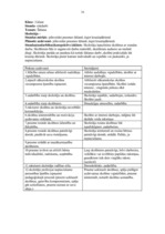 Prakses atskaite 'Vērošanas un vadīšanas prakse', 16.