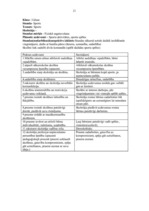 Prakses atskaite 'Vērošanas un vadīšanas prakse', 21.