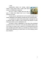 Referāts 'Uzņēmējdarbības atrašanās vieta, tās ietekme uz uzņēmumu darbību', 3.