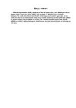 Referāts 'Hokejs Latvijā', 4.