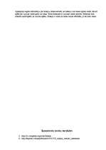 Referāts 'Hokejs Latvijā', 11.