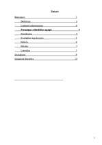 Referāts 'Renesanse', 1.