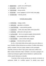 Referāts 'Temperaments un raksturs', 19.