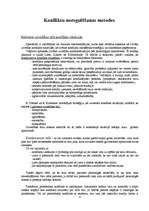 Referāts 'Konfliktu būtība, veidi un noregulēšanas metodes', 6.