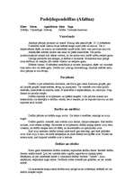 Referāts 'Vaļu kārta', 4.