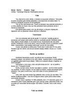 Referāts 'Vaļu kārta', 6.