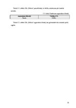 Biznesa plāns 'SIA "Pūderis"', 20.