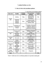 Biznesa plāns 'SIA "Pūderis"', 24.