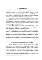 Referāts 'Zīmola veidošana un attīstība ”Uzņēmums “X”', 3.