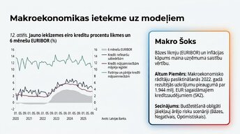 Prezentācija 'Finanšu pārskatu analīze Latvijā', 8.