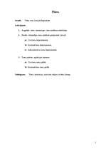 Referāts 'Augstākā tiesa', 1.