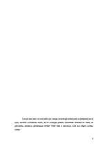 Referāts 'Augstākā tiesa', 9.