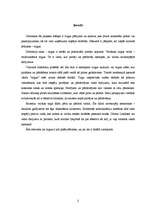 Prakses atskaite 'Prakses atskaite uzņēmumā "Sports Lukss"', 2.