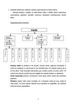 Prakses atskaite 'Prakses atskaite uzņēmumā "Sports Lukss"', 4.