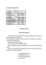 Prakses atskaite 'Prakses atskaite uzņēmumā "Sports Lukss"', 6.