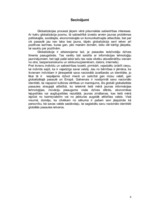 Referāts 'Globalizācija un nacionālā identitāte', 8.