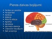 Prezentācija 'Smadzeņu pakauša, deniņu, paura un pieres daļas bojājumu neiropsiholoģiskie sind', 4.