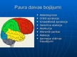 Prezentācija 'Smadzeņu pakauša, deniņu, paura un pieres daļas bojājumu neiropsiholoģiskie sind', 5.