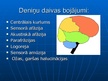 Prezentācija 'Smadzeņu pakauša, deniņu, paura un pieres daļas bojājumu neiropsiholoģiskie sind', 6.