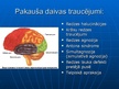 Prezentācija 'Smadzeņu pakauša, deniņu, paura un pieres daļas bojājumu neiropsiholoģiskie sind', 7.