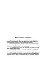 Referāts 'Gaisa piesārņojums', 9.