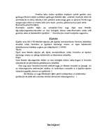 Referāts 'Gaisa piesārņojums', 16.