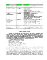 Konspekts 'Karjeras attīstība cilvēka dzīves ciklos', 3.