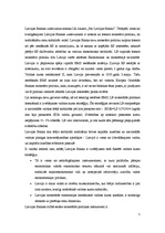 Referāts 'Latvijas Bankas monetārās politikas analīze', 5.