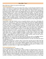 Eseja 'M.Zālītes "Tiesas" analīze', 1.