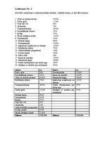 Paraugs 'Pārbaudes darbs grāmatvedībā', 2.