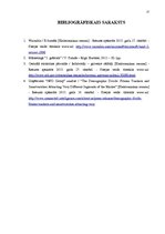 Paraugs 'Mājas darbs tirgzinībās. Produkta analīze', 17.