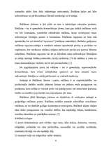 Referāts 'Reklāmas politika uzņēmumā LatinSoft', 6.