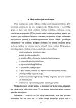 Referāts 'Reklāmas politika uzņēmumā LatinSoft', 13.