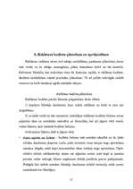 Referāts 'Reklāmas politika uzņēmumā LatinSoft', 21.